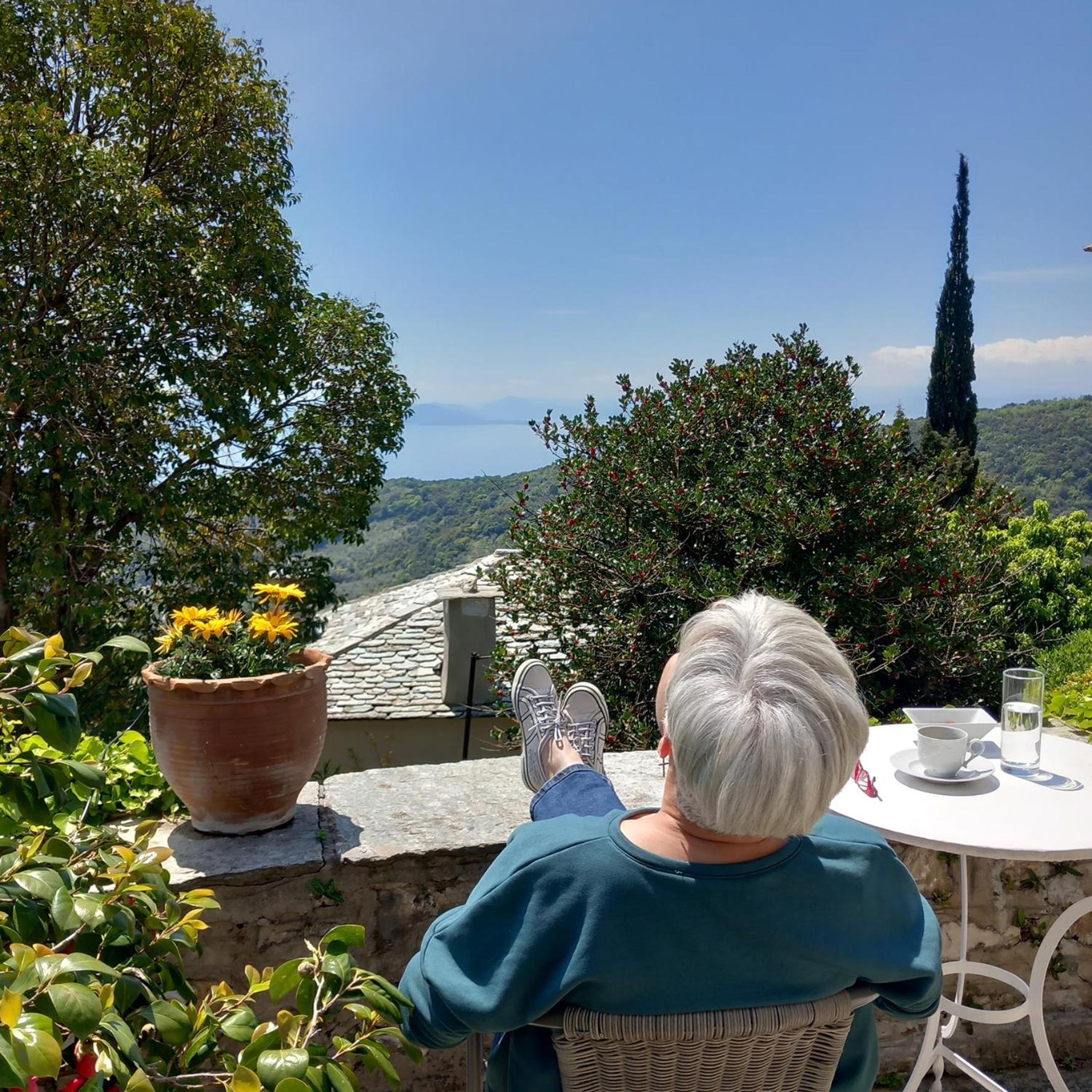 Milies Historic Chalet Pelion Villa Miléai Buitenkant foto