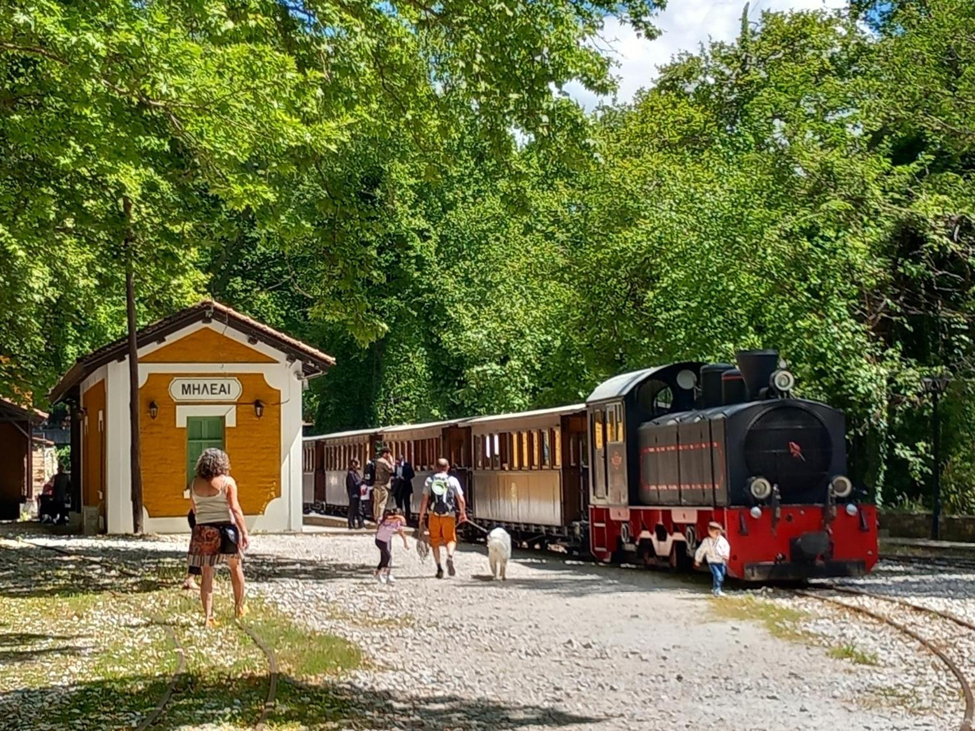 Milies Historic Chalet Pelion Miléai Buitenkant foto