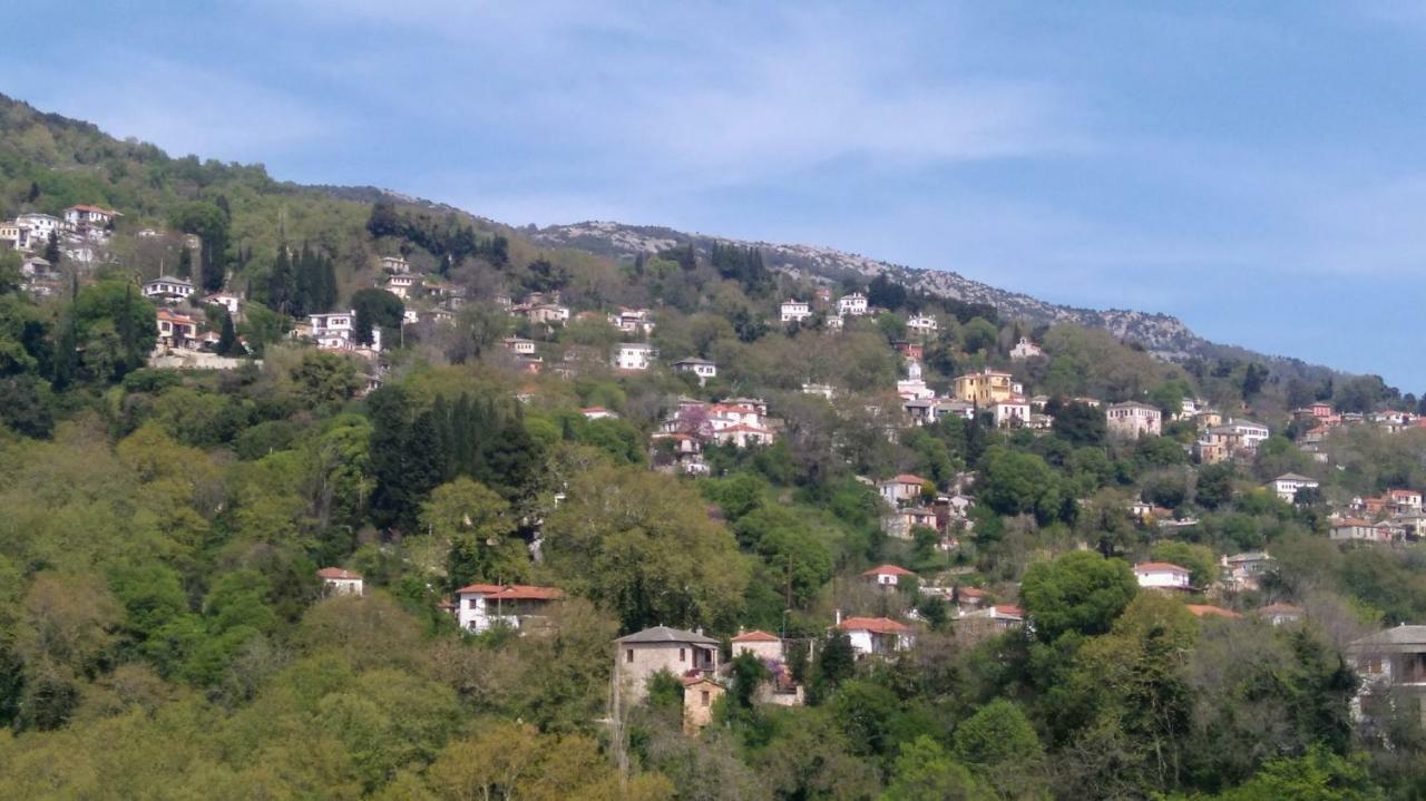 Milies Historic Chalet Pelion Villa Miléai Buitenkant foto